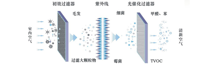 光氫離子凈化裝置原理圖